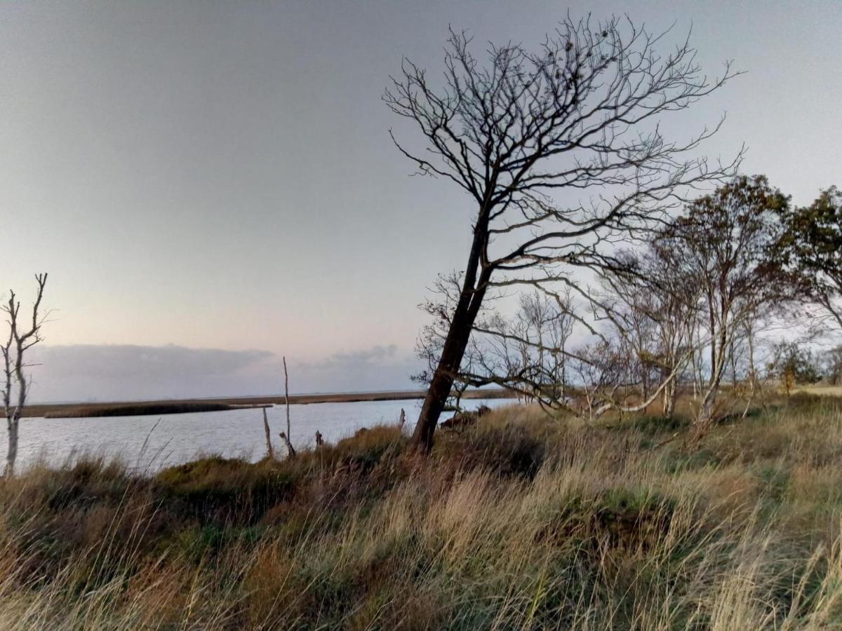 Haus Meererleben - Urlaub Mit Hund An Der Nordsee Schweiburg Exterior photo